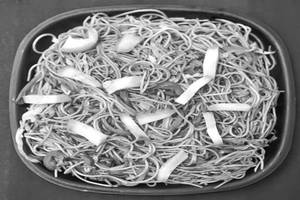 Porke chowmein