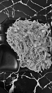 Hakka noodles