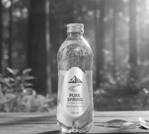 Mineral Water [500 Ml]