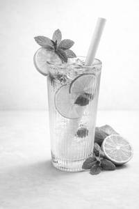 Classic Mojito.