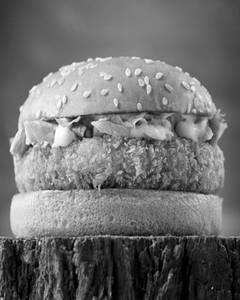 Frackers Veg Burger