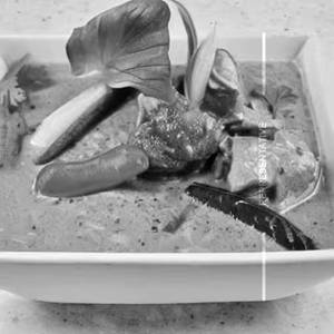 Chicken Green Thai Curry Rice