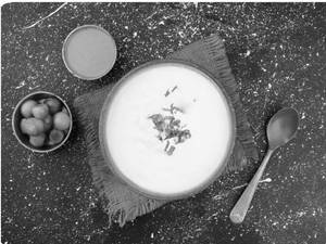 Plain Curd