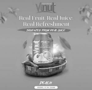 Vinut Peach Juice Drink