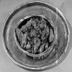 Rawas Kohliwada Fry