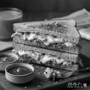 Masala Cheese Sandwich