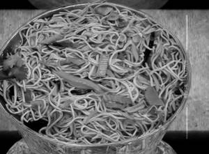 Veg Hakka Noodles