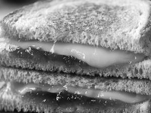 Jam Cheese Sandwich