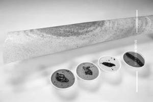 Sada dosa