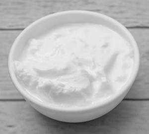 Plain Dahi