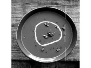 Tomato Soup