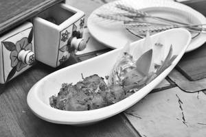 Firdosi Aloo