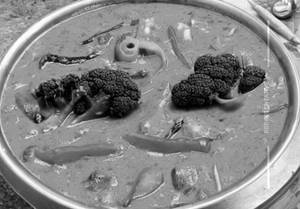 Veg Red Thai Curry
