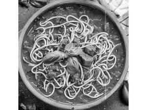 Italian Triple Noodles With Gravy