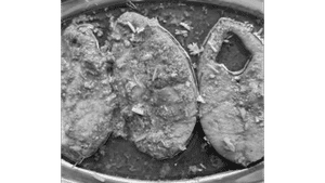 Fish Curry Surmai