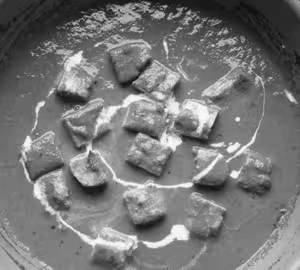 Palak Paneer