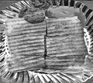 Masala Sandwich
