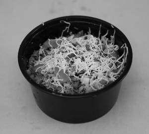 Amul cheese kadak