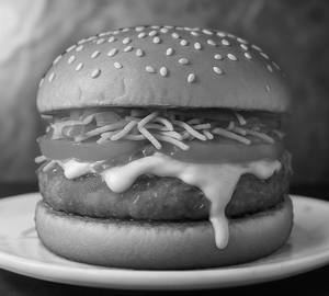 Desi Bites Burger