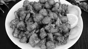 Gobi 65