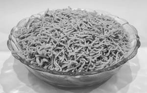 Ujjaini Sev