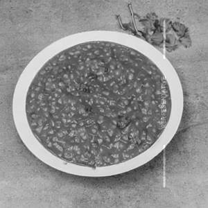 Plain Dal