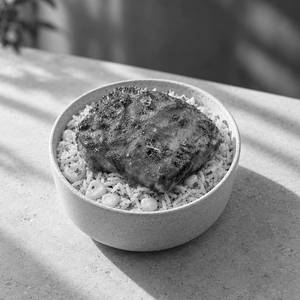 Classic Chicken Steak Rice Bowl