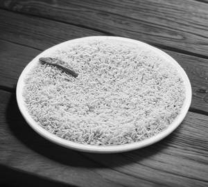 Mandi Rice Qtr