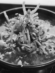 Veg Manchow Soup