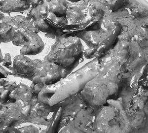 Afghani mutton kadhai