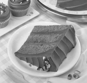 PISTACHIO / CHOC CAKE SLC