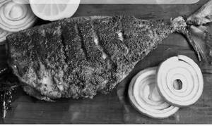 Fish Fry 200