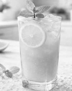 Mango Crush Mojito