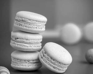 Vanilla Macaron