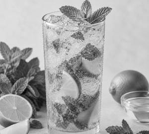 Mint Mojito 300 Ml
