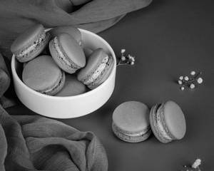 Blueberry Macaron