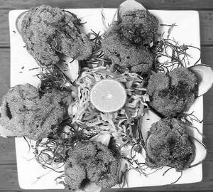 Mussels (Xinaneo) Rava Fry (6Pcs)