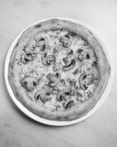 Truffle Fungi