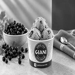 Black Currant Ice Cream