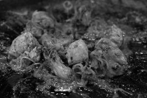 Tawa Chicken Seekh Mutton Gravy Half