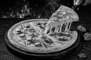 Spicy Paneer Tikka Regular Pizza