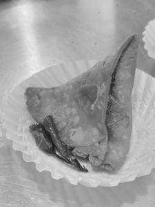 Samosa