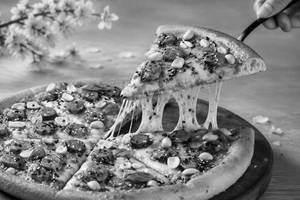 Sensai Chicken Sausage Regular Pizza