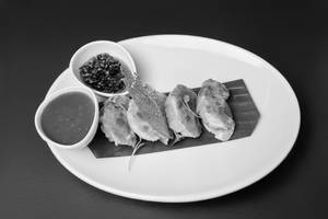 Pan Fried Chicken Gyoza
