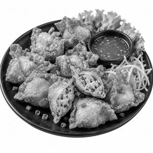 Chicken Fried Wanton