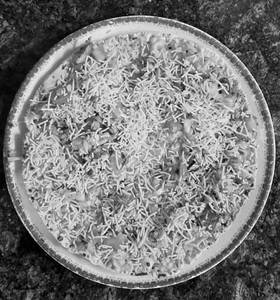 Masala Papad