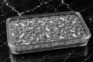 Gond Halwa (100 Gm)