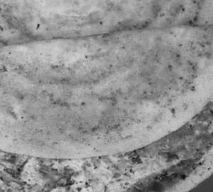 Egg Dosa
