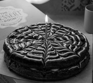 Double Layer Waffle Cake