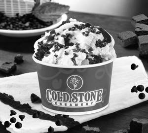 Mint Mint Chocolate Chocolate Chip Ice Cream